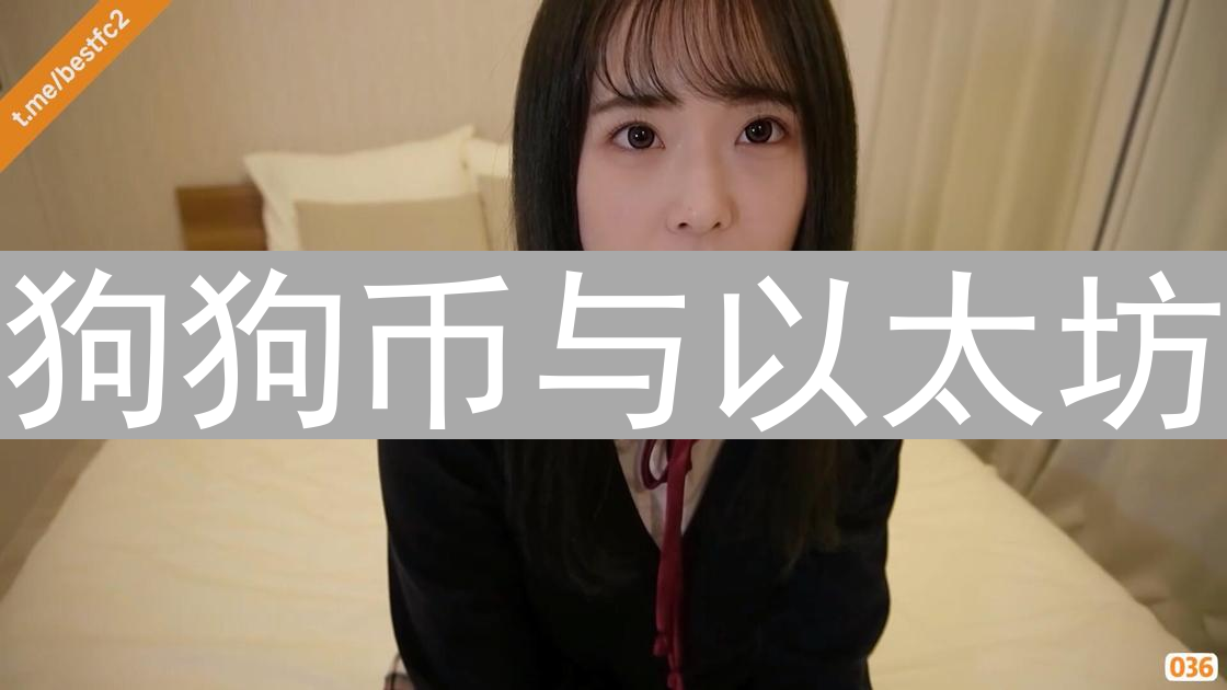 狗狗币与以太坊：两条道路的加密货币分析
