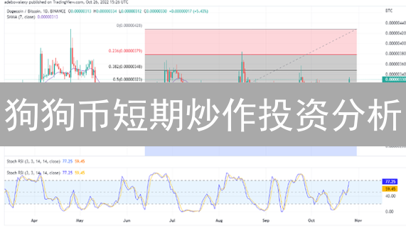 狗狗币短期炒作投资分析：风险与收益并存