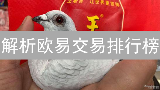 解析欧易交易排行榜：奖励机制与加密货币交易策略