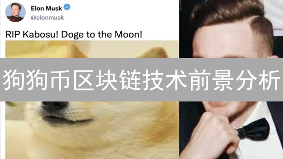 狗狗币区块链技术前景分析：技术现状与未来升级方向