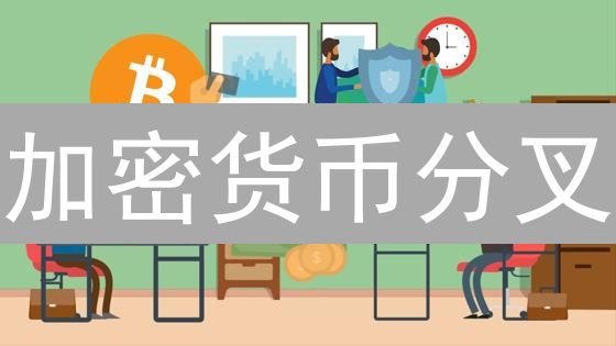 加密货币分叉：投资者决策的关键影响因素分析
