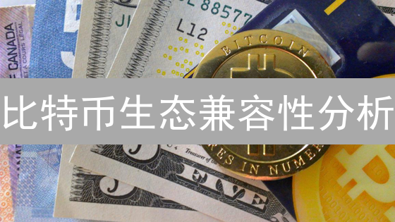 比特币生态兼容性分析：支持的加密货币及影响