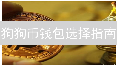 狗狗币钱包选择指南：安全存储方案推荐