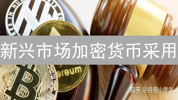 新兴市场加密货币采用：机遇与挑战分析