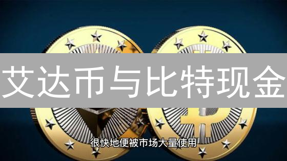 艾达币与比特现金：协议之争、技术差异与未来展望