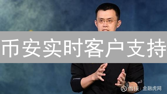 币安实时客户支持：多渠道，全方位，专业团队