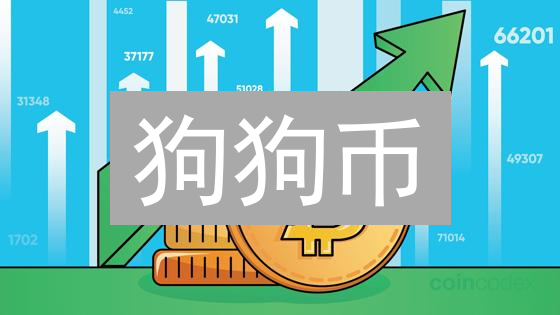 狗狗币：炒作退潮后，还能抓住哪些新机遇？