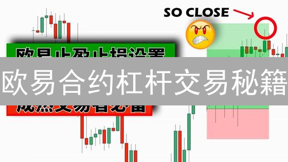 欧易合约杠杆交易秘籍：新手也能轻松上手，暴富不是梦？