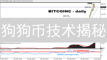 狗狗币技术揭秘：草根社区如何缔造加密奇迹？