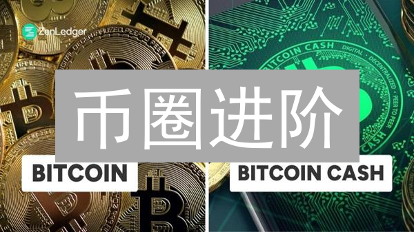 币圈进阶：六大指标带你玩转加密货币交易，新手也能看懂！
