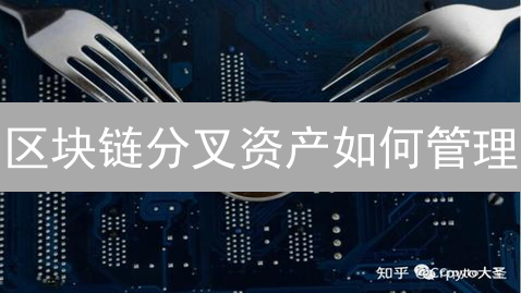 区块链分叉资产如何管理？新手必看安全策略与风险规避！