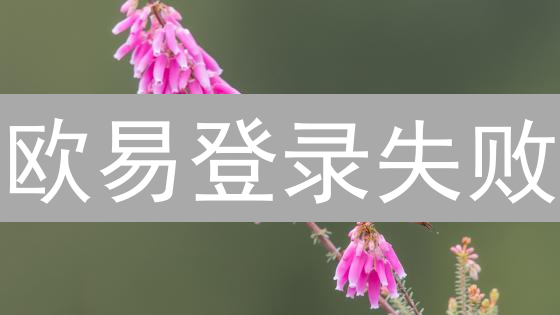 欧易登录失败？速看！账户问题终极解决方案，今日必看！