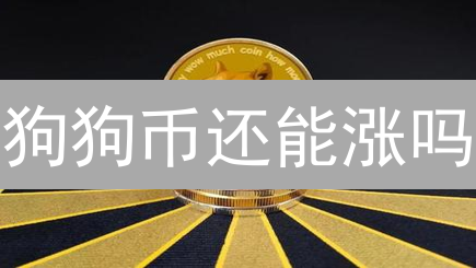 狗狗币还能涨吗？2024年DOGE投资前景分析及风险提示