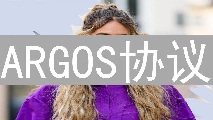 ARGOS协议：迷雾之城背后的权力游戏解读