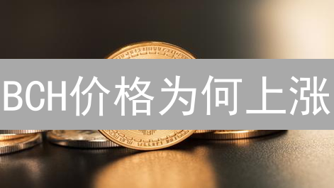 BCH价格为何上涨？2024年技术升级与市场前景分析，现在入手晚吗？