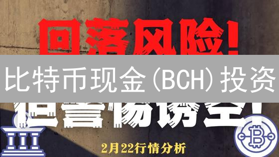 比特币现金(BCH)投资：风险评估与规避策略详解