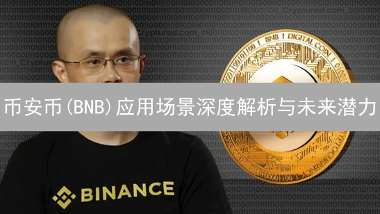 币安币(BNB)应用场景深度解析与未来潜力