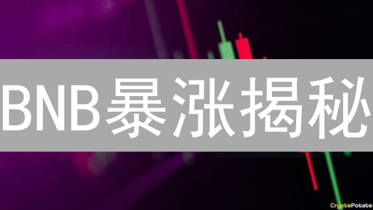 BNB暴涨揭秘：手续费折扣？不，是生态爆发！【深度解析】