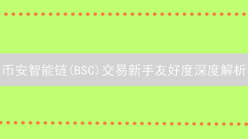 币安智能链(BSC)交易新手友好度深度解析：风险与机遇并存