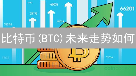 比特币(BTC)未来走势如何？最新技术分析与价格预测！