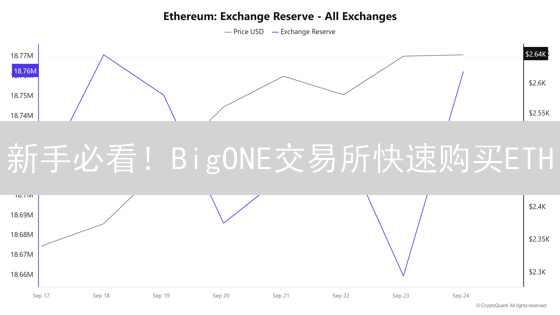 新手必看！BigONE交易所快速购买ETH/LTC教程【2024最新】