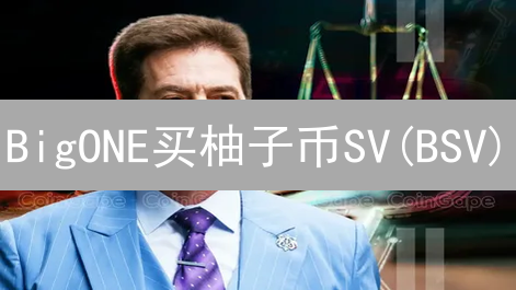 BigONE买柚子币SV(BSV)？新手必看交易指南！