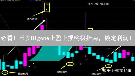 必看！币安Bigone止盈止损终极指南，锁定利润！