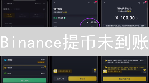Binance提币未到账：原因分析与申诉全攻略