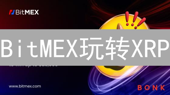 BitMEX玩转XRP：法币购买瑞波币终极指南？小白也能轻松学会！