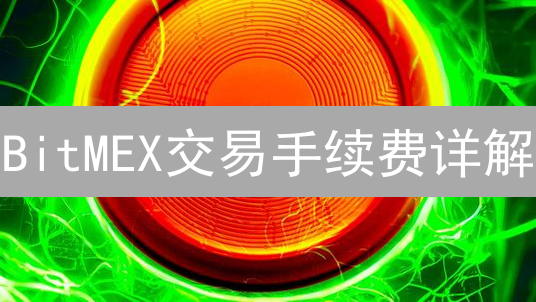 BitMEX交易手续费详解：合约类型与费率结构分析
