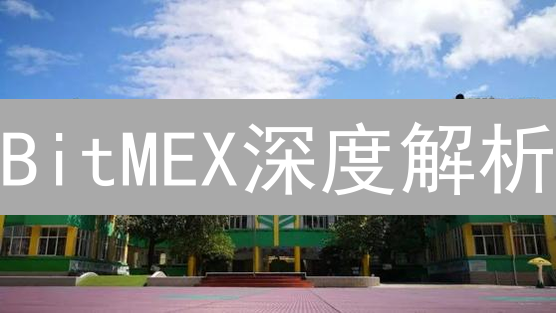 BitMEX深度解析：揭秘交易所早期优势与创新策略！