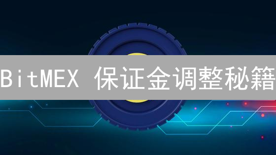 BitMEX 保证金调整秘籍：告别爆仓，稳健盈利！