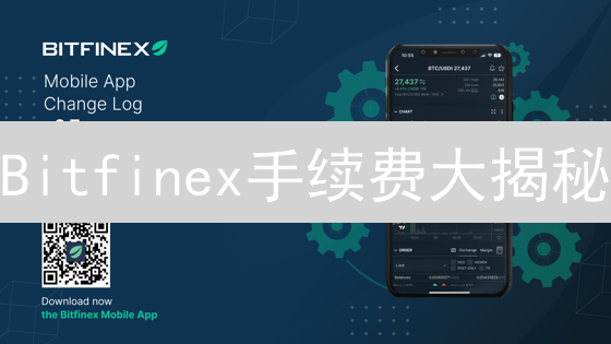 Bitfinex手续费大揭秘：交易成本真的更低吗？2024最新攻略！