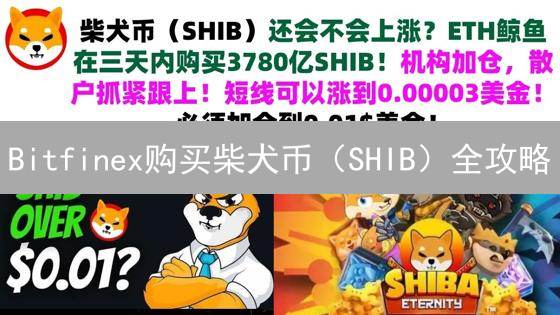 Bitfinex购买柴犬币（SHIB）全攻略：如何降低交易风险？