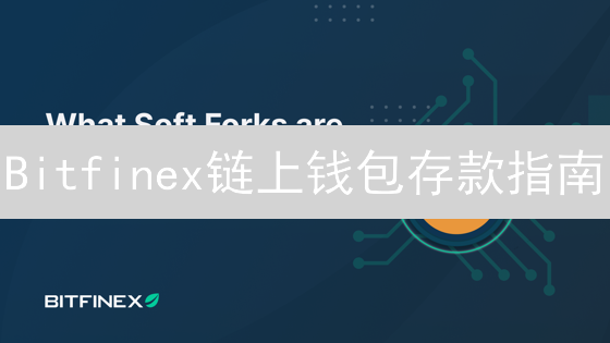 Bitfinex链上钱包存款指南：安全高效入金攻略详解