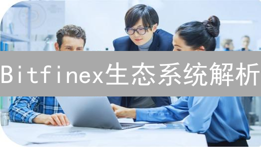 Bitfinex生态系统解析：合作伙伴如何构建加密货币交易基石
