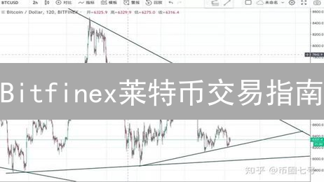 Bitfinex莱特币交易指南：策略、杠杆与风险控制