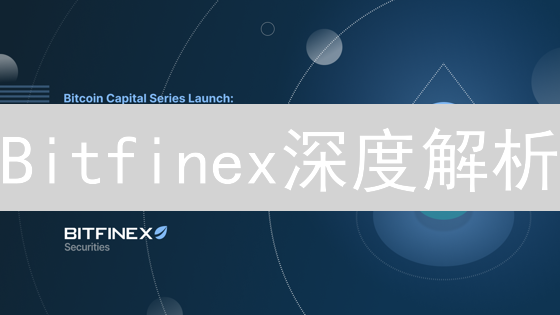 Bitfinex深度解析：高杠杆交易的机遇与挑战！