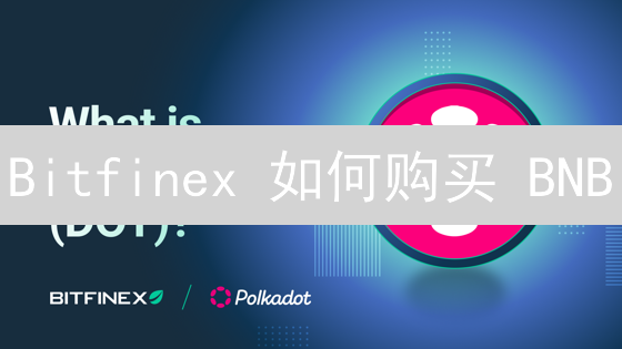 Bitfinex 如何购买 BNB？新手指南：完整支付流程揭秘！