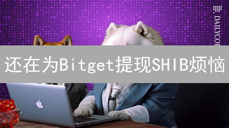 还在为Bitget提现SHIB烦恼？看这篇就够了！🚀