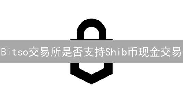 Bitso交易所是否支持Shib币现金交易？深度分析与潜在影响