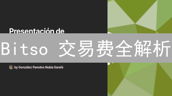 Bitso 交易费全解析：降低成本的 7 个秘密武器！