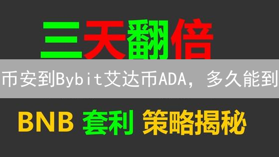 币安到Bybit艾达币ADA，多久能到？实测时间大揭秘！