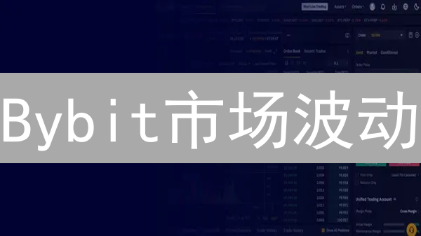Bybit市场波动：心跳加速的加密货币交易游戏