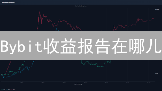Bybit收益报告在哪儿？掌握收益分析秘籍，让盈利更上一层楼！