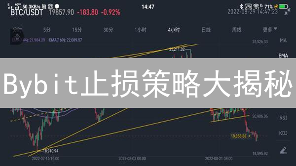 Bybit止损策略大揭秘：如何有效管理加密货币交易风险？