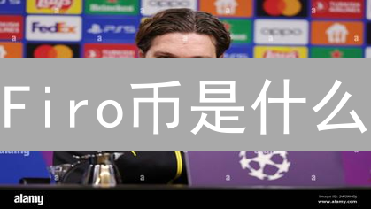 Firo币是什么？隐私加密货币最新解析与未来趋势 - 2024深度分析