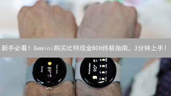 新手必看！Gemini购买比特现金BCH终极指南，3分钟上手！