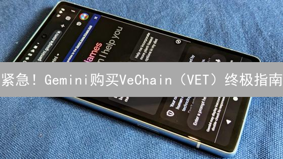 紧急！Gemini购买VeChain（VET）终极指南：手把手教你！
