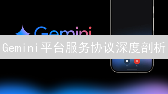 Gemini平台服务协议深度剖析：数字资产契约基石